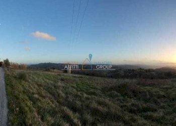 2d1f43e2-99d2-4454-9fa9-7c26146a1977.jpeg - Terreno agricolo Via Carbonaia, Palaia - foto 6