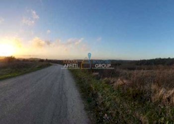 127ca1e1-52eb-4a70-a636-2dbca357810c.jpeg - Terreno agricolo Via Carbonaia, Palaia - foto 8