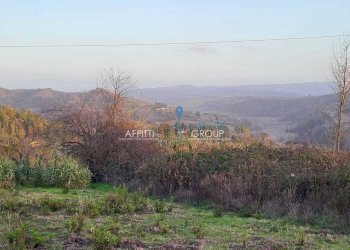 4991d5d5-2296-4f96-b96e-3b5762a7b1ad.jpeg - Terreno agricolo Via Carbonaia, Palaia - foto 9