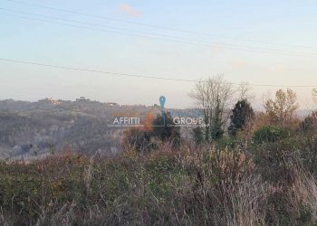 795f892d-7c3c-44b9-98c1-8e1bbf908e0c.jpeg - Terreno agricolo Via Carbonaia, Palaia - foto 10