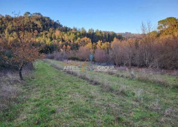 726d5c93-8ded-4744-bf1d-f77ba756cbdc.jpeg - Terreno agricolo Via Carbonaia, Palaia - foto 13