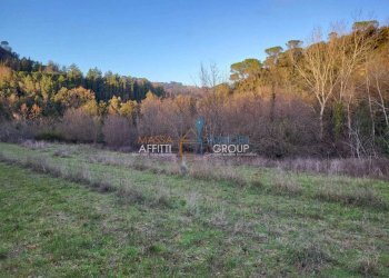 c953079e-9c85-4668-b032-cd177993e397.jpeg - Terreno agricolo Via Carbonaia, Palaia - foto 14