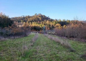 d8acc17b-da99-428b-bbbd-d50d8b177605.jpeg - Terreno agricolo Via Carbonaia, Palaia - foto 15