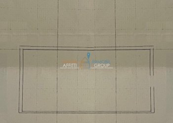 1-WhatsApp Image 2024-07-31 at 19.01.59 (32).jpeg. - Terreno agricolo Via Carbonaia, Palaia - foto 16