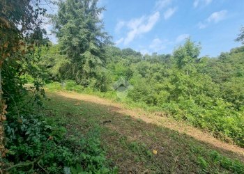 Rustic Strada gassino bardassano, Gassino Torinese - photo 18