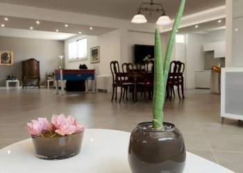 IMG_20240808_114446.jpg - Villa Siracusa - foto 13