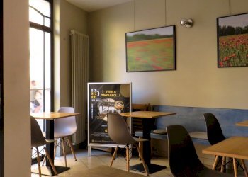 Pizzeria Reggio nell'Emilia - foto 5
