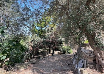 Casa indipendente Via Roma 28, Torchiara - foto 10