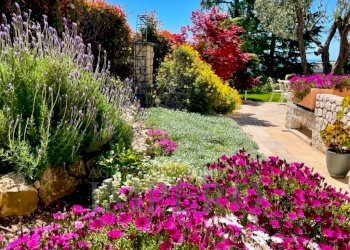 WhatsApp Image 2024-08-10 at 10.02.47.jpeg - Villa Via Iride 155, Bordighera - foto 23