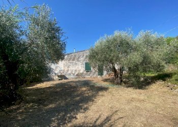 IMG_6501 (FILEminimizer).jpg - Porzione di casa località stradone polveroni 9/A, Rosignano Marittimo - foto 1