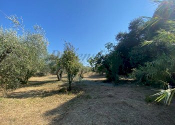 IMG_6502 (FILEminimizer).jpg - Porzione di casa località stradone polveroni 9/A, Rosignano Marittimo - foto 2