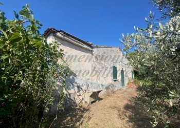 IMG_6503 (FILEminimizer).jpg - Porzione di casa località stradone polveroni 9/A, Rosignano Marittimo - foto 3