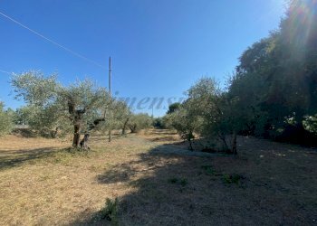 IMG_6504 (FILEminimizer).jpg - Porzione di casa località stradone polveroni 9/A, Rosignano Marittimo - foto 4