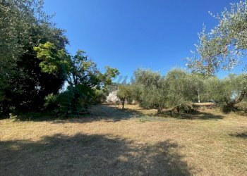 IMG_6505 (FILEminimizer).jpg - Porzione di casa località stradone polveroni 9/A, Rosignano Marittimo - foto 5