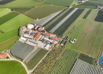 terreno - Terreno agricolo Via Tetti Elia, 13, Revello - foto 1