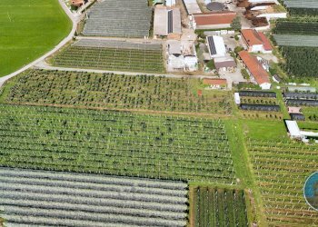 terreno - Terreno agricolo Via Tetti Elia, 13, Revello - foto 3