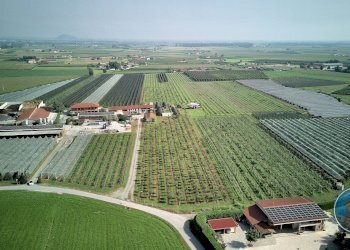 terreno - Terreno agricolo Via Tetti Elia, 13, Revello - foto 8