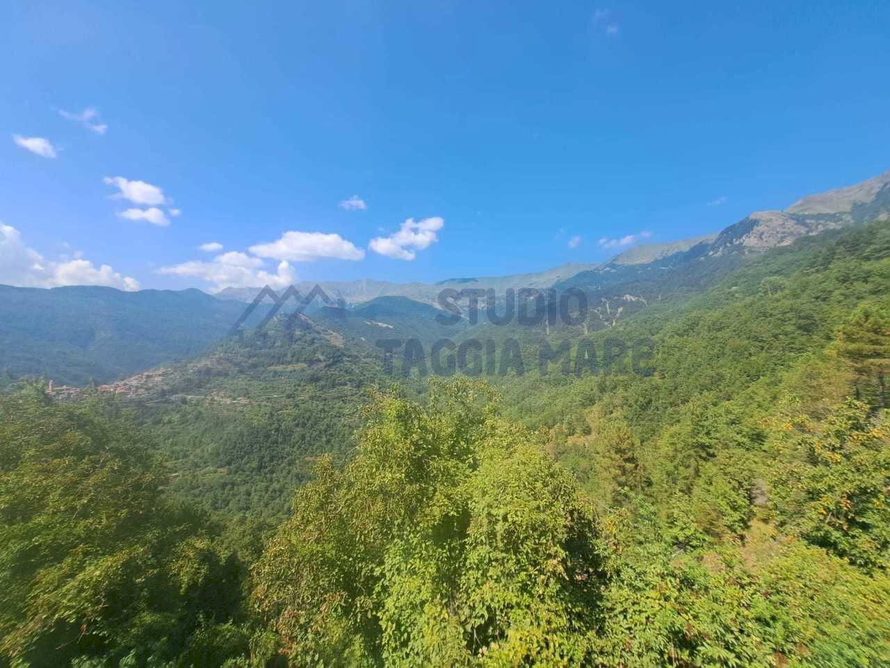 Immagine WhatsApp 2024-08-12 ore 11.39.49_986df0b7 - Porzione di casa Via IV Novembre, Molini di Triora - foto 2