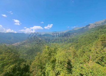 Immagine WhatsApp 2024-08-12 ore 11.39.49_986df0b7 - Porzione di casa Via IV Novembre, Molini di Triora - foto 2