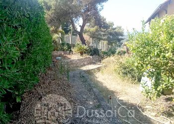 Independent house hamlet San Giacomo, Camporosso - photo 23