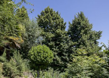 Independent house Villanova Mondovì - photo 41