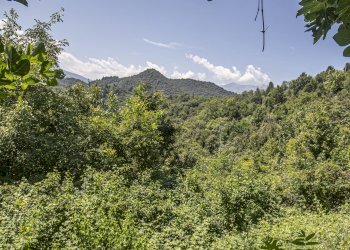 Independent house Villanova Mondovì - photo 43