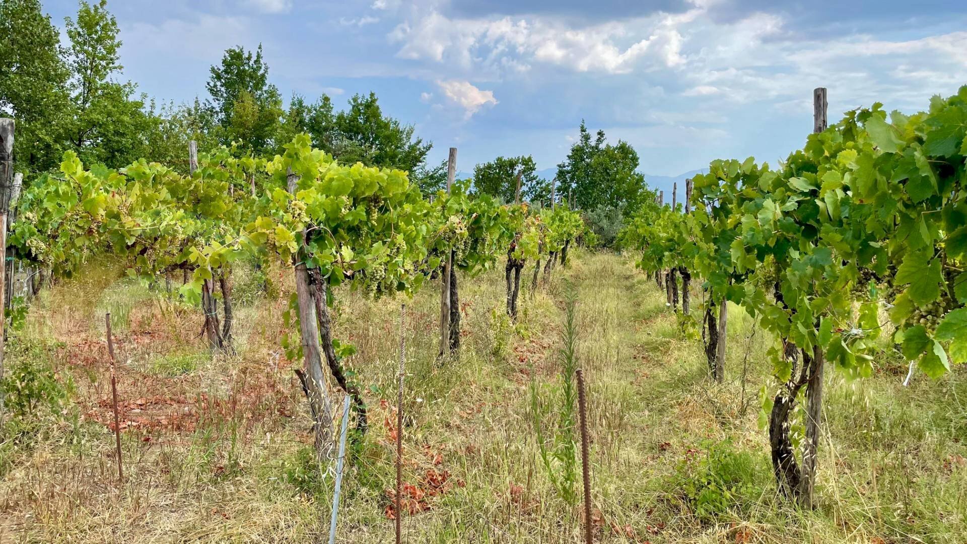Rustico Via Decime, Santopadre - foto 3