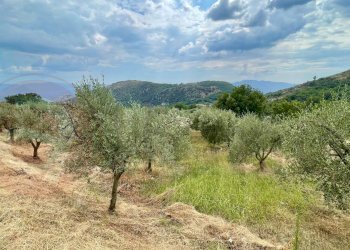 Rustico Via Decime, Santopadre - foto 5