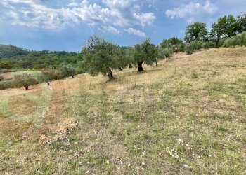 Rustico Via Decime, Santopadre - foto 16