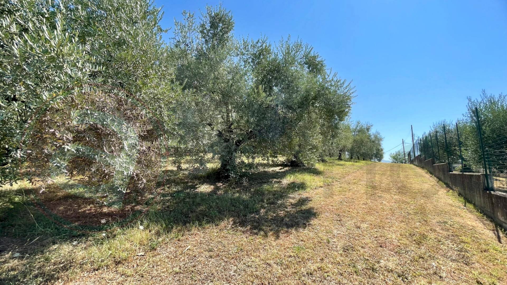 Building land Via Campogrande, Colfelice - photo 2