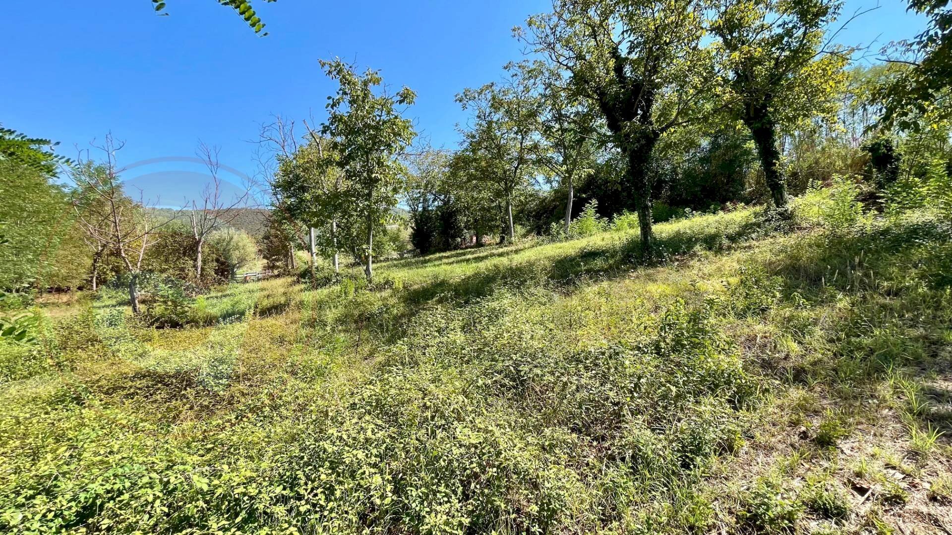 Building land Via Campogrande, Colfelice - photo 3