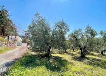 Terreno edificabile Via Campogrande, Colfelice - foto 1