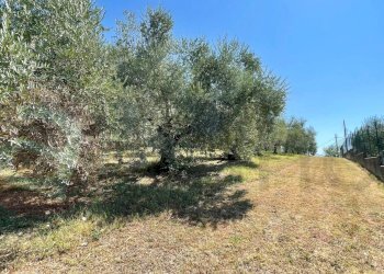 Terreno edificabile Via Campogrande, Colfelice - foto 2