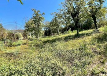 Terreno edificabile Via Campogrande, Colfelice - foto 3