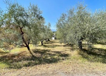 Terreno edificabile Via Campogrande, Colfelice - foto 7