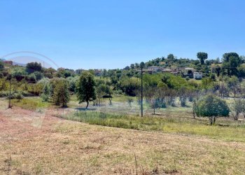 Terreno edificabile Via Campogrande, Colfelice - foto 8