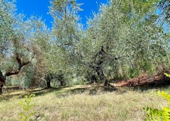 Terreno edificabile Via Campogrande, Colfelice - foto 11