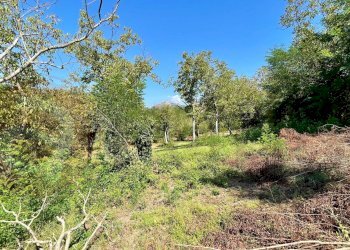 Terreno edificabile Via Campogrande, Colfelice - foto 12