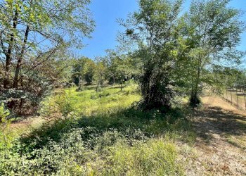 Terreno edificabile Via Campogrande, Colfelice - foto 13