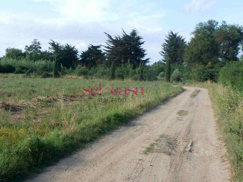 Rustico Grosseto - foto 3