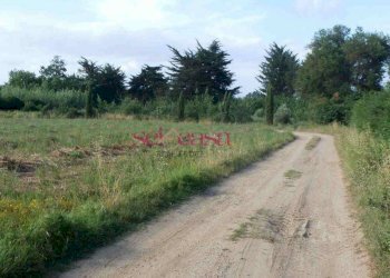 Rustico Grosseto - foto 3