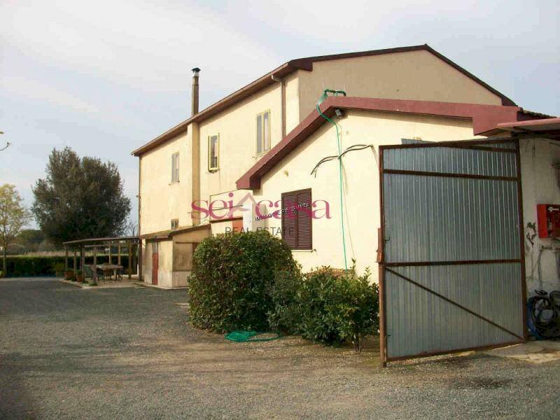 Agriturismo Grosseto - foto 2