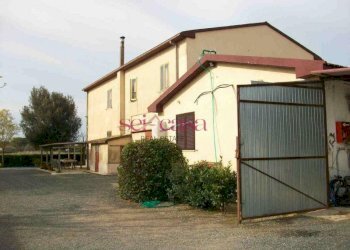 Agriturismo Grosseto - foto 2