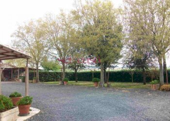 Agriturismo Grosseto - foto 14