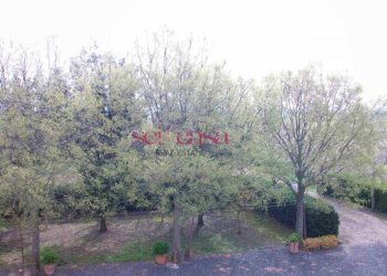 Agriturismo Grosseto - foto 22