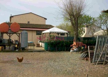 Agriturismo Grosseto - foto 26