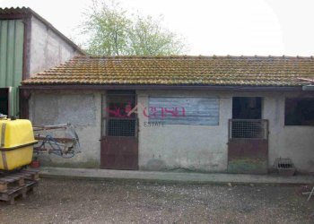 Agriturismo Grosseto - foto 30