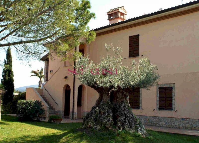 Azienda agricola Capalbio - foto 1