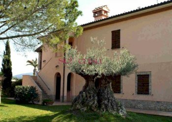 Azienda agricola Capalbio - foto 1