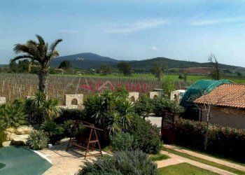 Azienda agricola Capalbio - foto 7